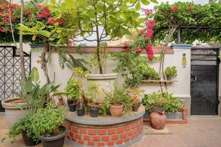 Eden Garden Villa By Jadecaps Nr Mg Road Garden Bengaluru Zewnętrze zdjęcie