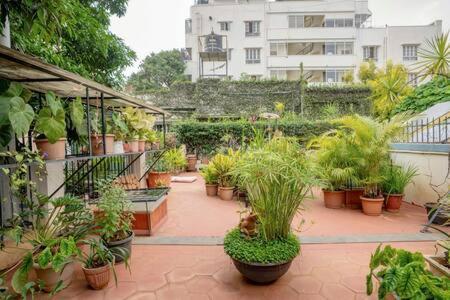 Eden Garden Villa By Jadecaps Nr Mg Road Garden Bengaluru Zewnętrze zdjęcie